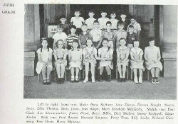 5grade.jpg (38470 bytes)