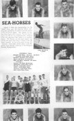 seahorses.jpg (77497 bytes)