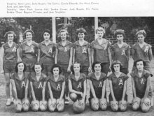 wbball.jpg (41951 bytes)