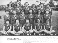 wvball.jpg (46323 bytes)
