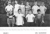 50Grds-1a.jpg (34922 bytes)