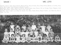 50Grds-1a.jpg (40074 bytes)