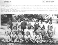 50Grds-4.jpg (137180 bytes)