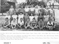 50Grds-5b.jpg (44645 bytes)