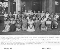 50Grds-7b.jpg (35852 bytes)