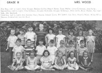 50Grds3c.jpg (37387 bytes)