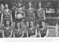 w-basket.jpg (28316 bytes)