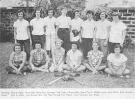 52w-soft.jpg (30036 bytes)