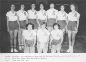 52w-volley.jpg (169931 bytes)