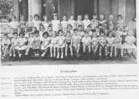 52kind.jpg (216084 bytes)