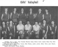 w-volley.JPG (18570 bytes)