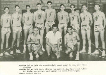 basket.JPG (69583 bytes)