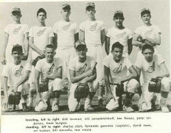 soft.jpg (74004 bytes)