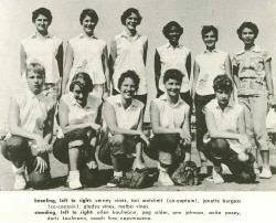 w-soft.JPG (64683 bytes)