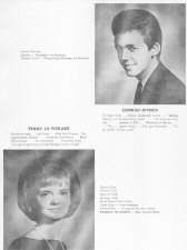 64sen20.jpg (92223 bytes)