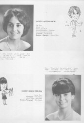 66sen31.jpg (75571 bytes)