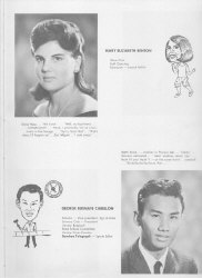 66sen3.jpg (82024 bytes)